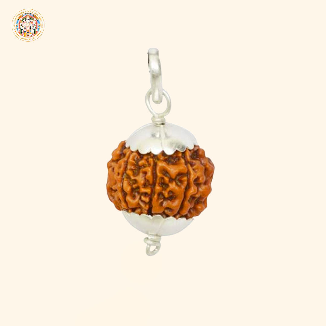 7 Mukhi Indian Rudraksha